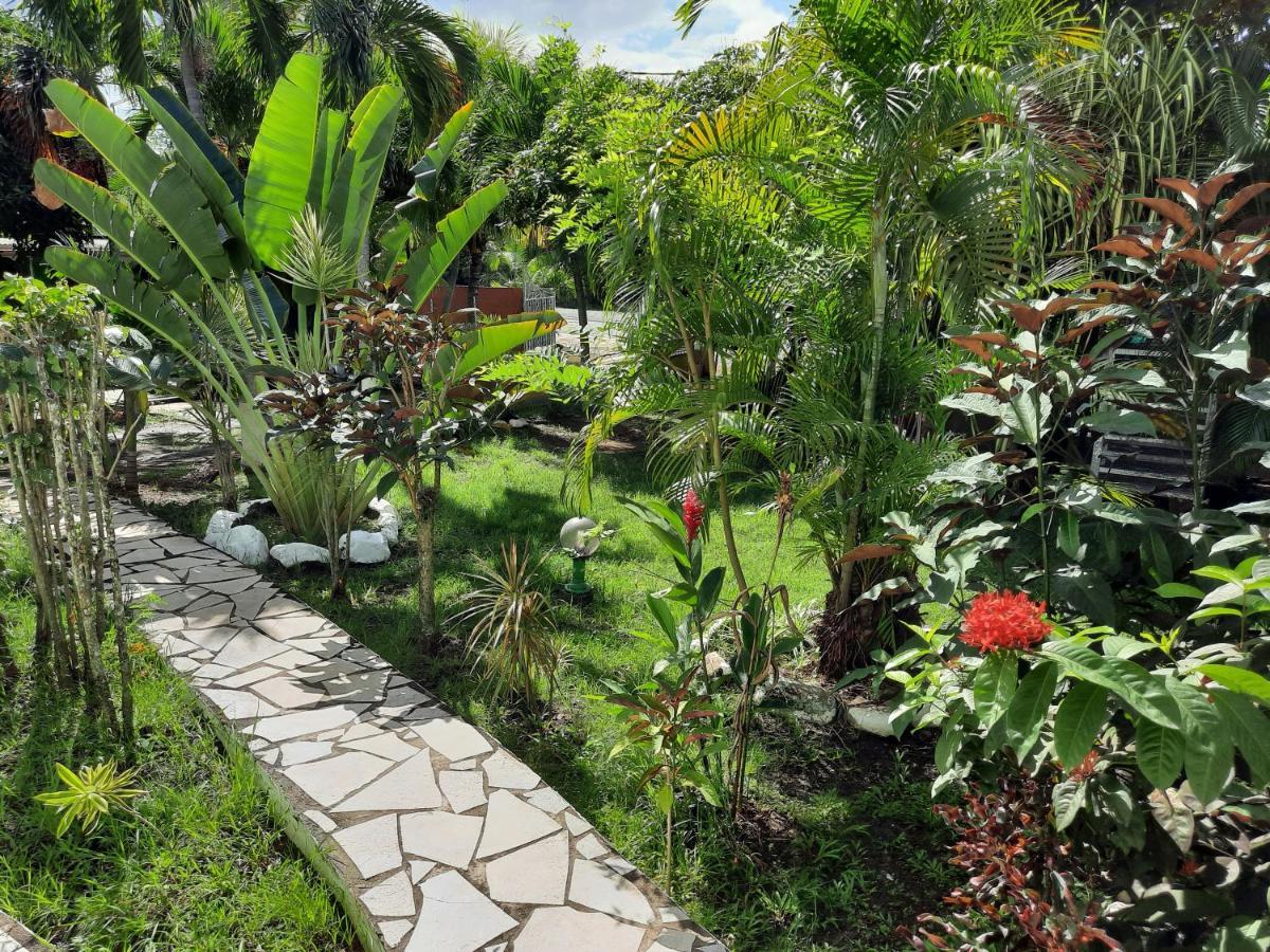דירות בוויאנט Le Jardin De Massieux מראה חיצוני תמונה