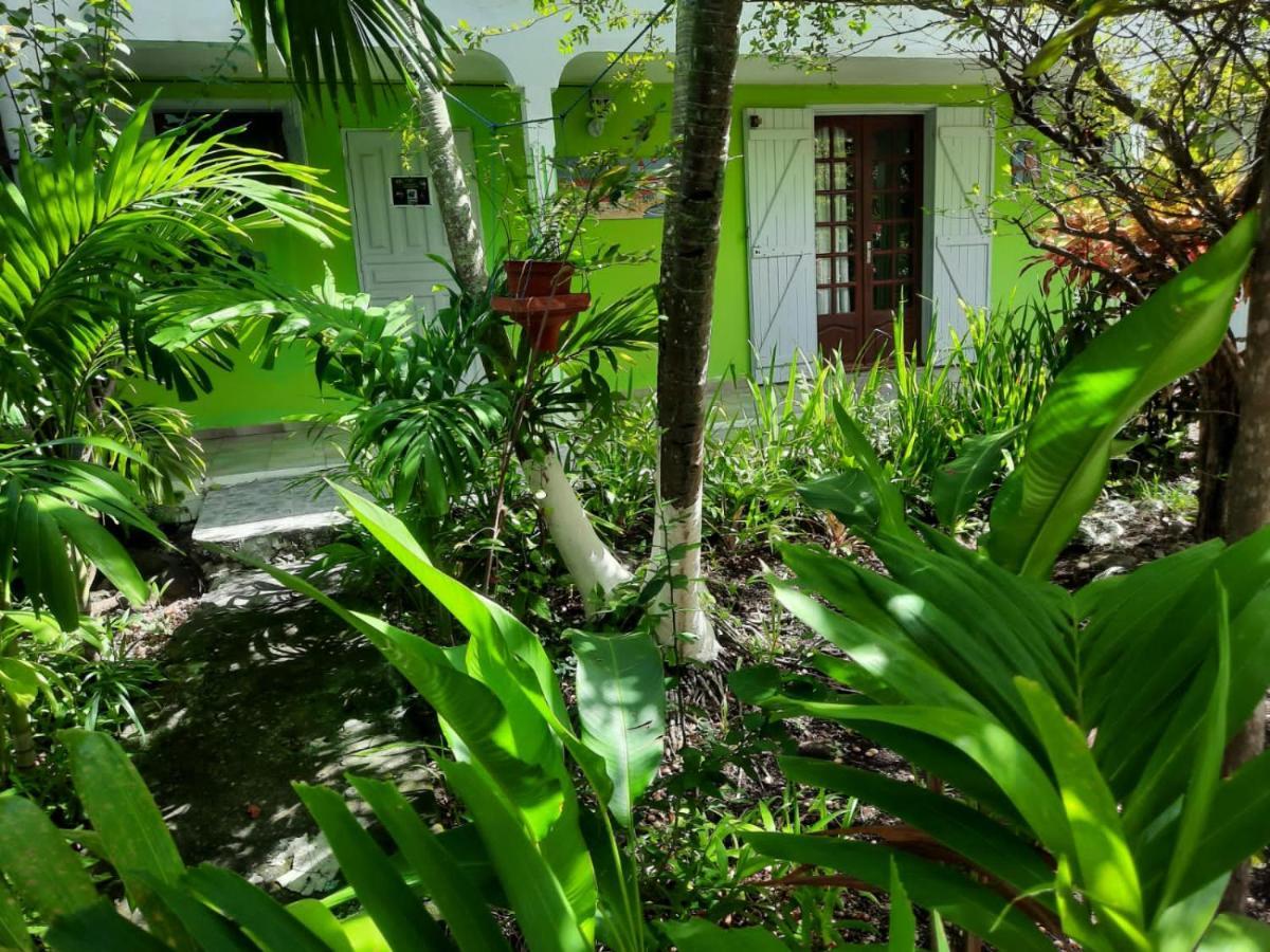 דירות בוויאנט Le Jardin De Massieux מראה חיצוני תמונה